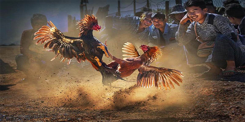 ok99 chơi bắn cá đổi thưởng