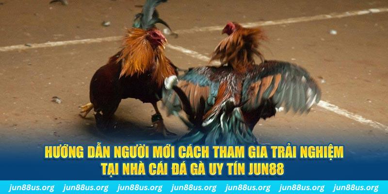 ok99 CQ9 Điện Tử