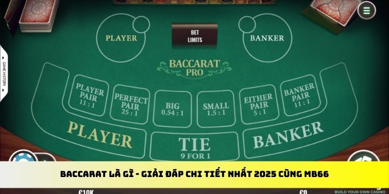 ok99 gà chọi cu cần