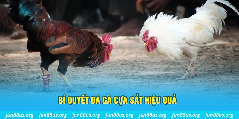ok99 xin 1 slot là gì