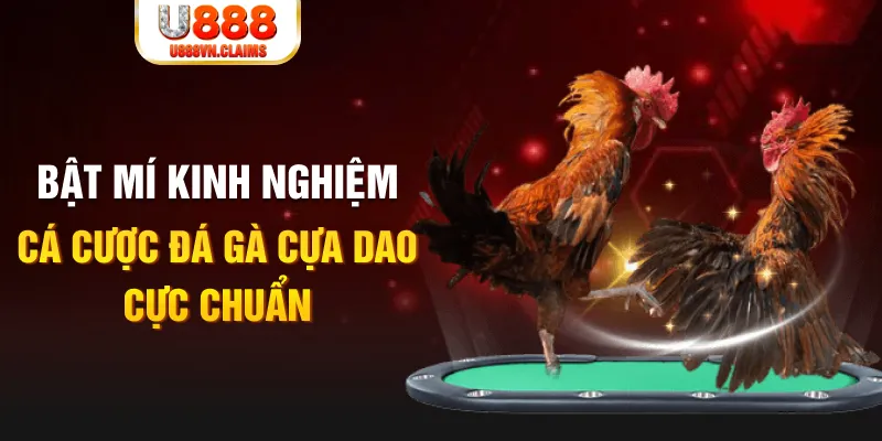 ok99 tỷ lệ cá cược châu á là gì