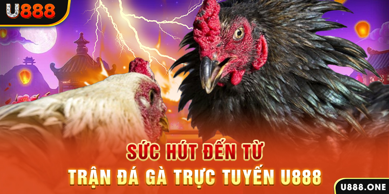 ok99 nổ hũ b29 là gì