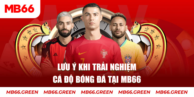 ok99 cá cược là gì