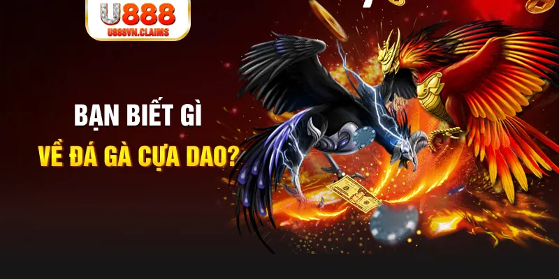ok99 nổ hủ là gì
