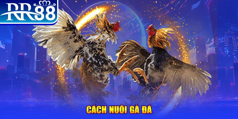 ok99 xổ số an giang