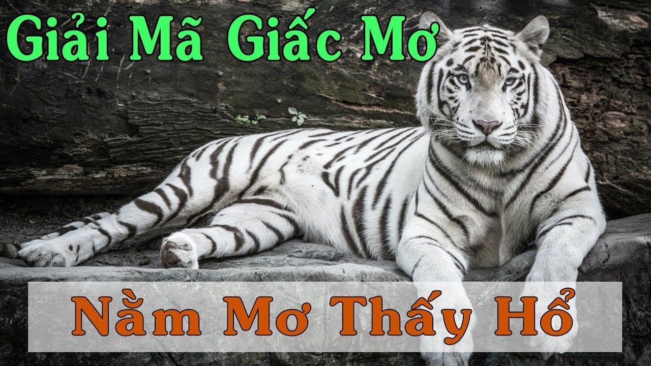 ok99 xổ số 3 miền