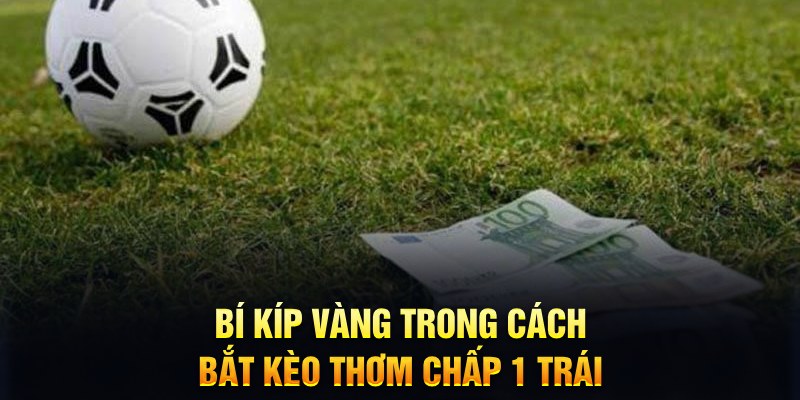 ok99 sổ xô miên bắc
