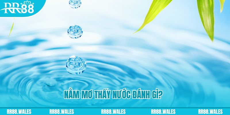 ok99 TP Bắn cá