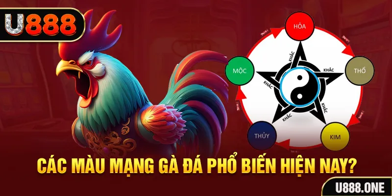 ok99 trực tiếp đá gà 88