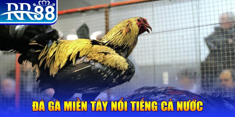 ok99 JILI Game Bài 3d