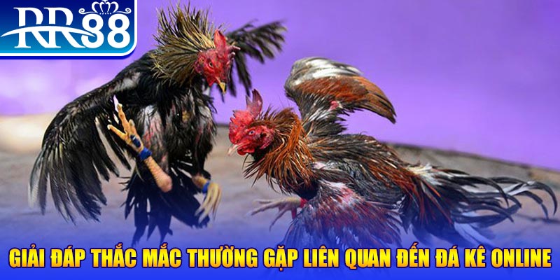 ok99 xổ số đà lạt
