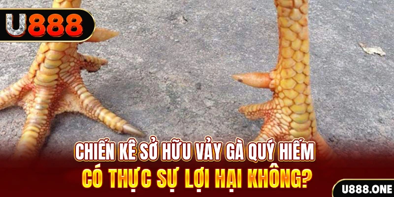 ok99 nohu .mx nổ hủ là gì