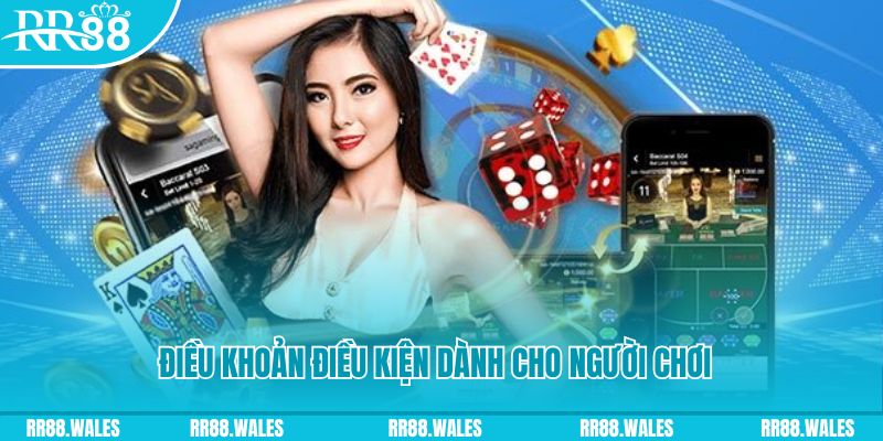 ok99 casino gồm những gì