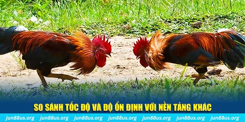 ok99 đá gà hôm nay