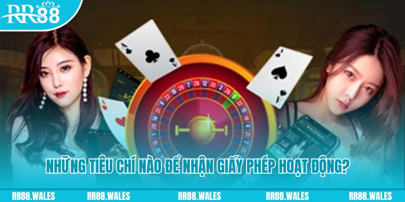 ok99 hơn cả bạn bè