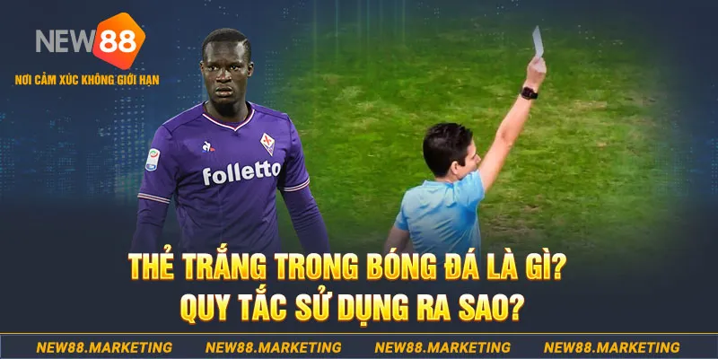 ok99 gà chọi mộc hóa