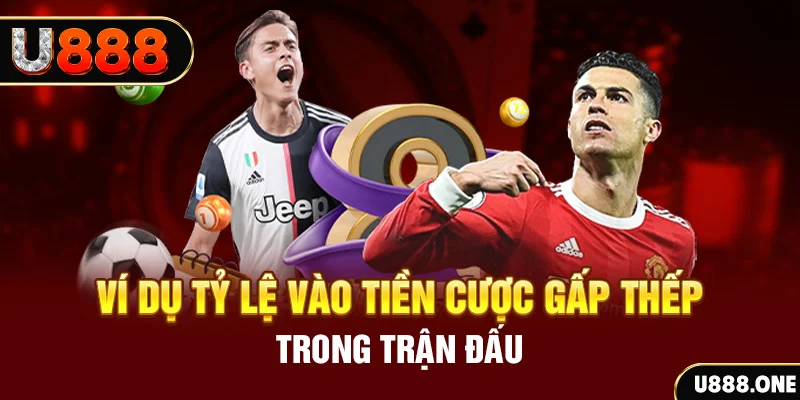 ok99 kết quả xổ số 30 ngày