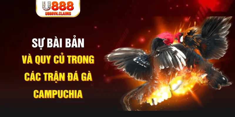ok99 YGR Điện Tử