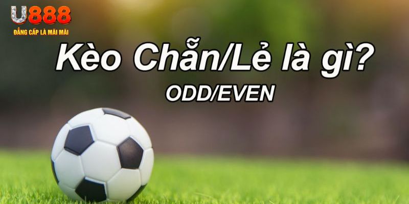 ok99 đăng nhập poker hôm nay