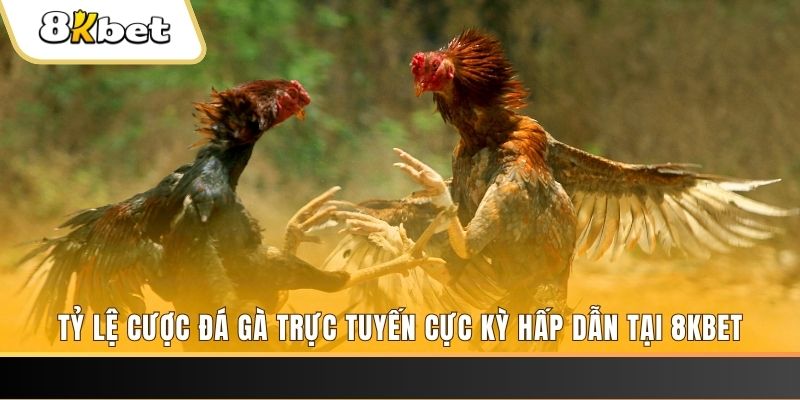 ok99 đăng nhập phỏm trực tiếp