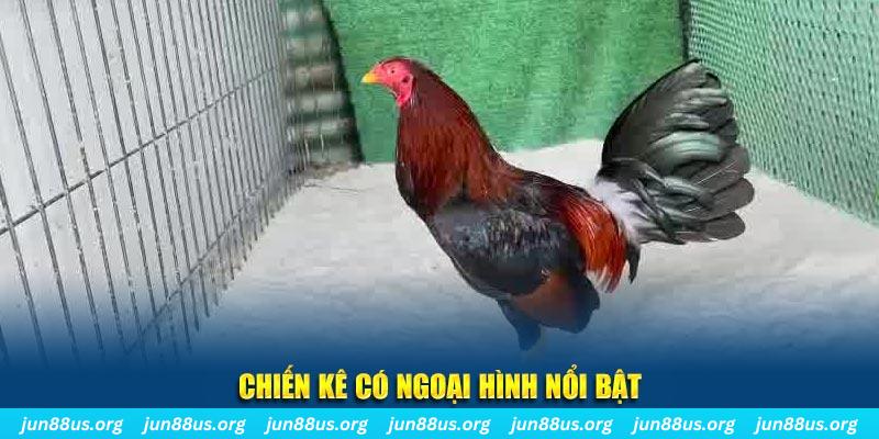 ok99 chạy quảng cáo cho game bài bị phạt như thế nào