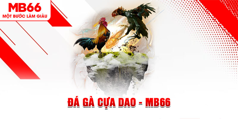 ok99 đá gà sv388 gold