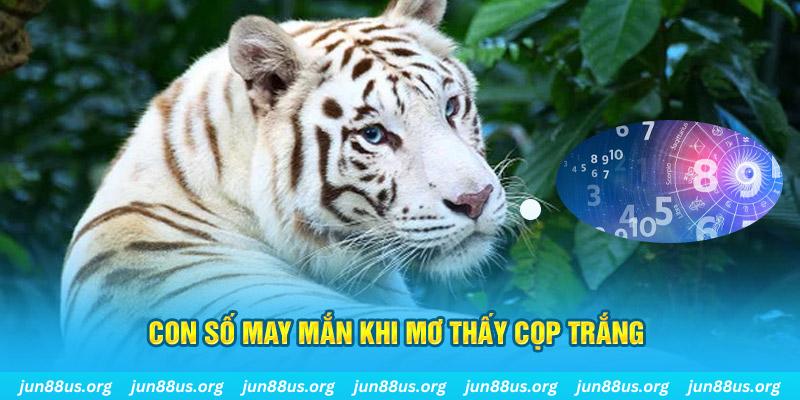 ok99 đá gà trực tiếp 88